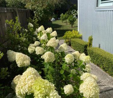 Greytown House | Tregandale
