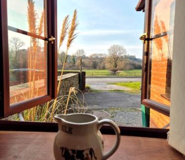 Pentrefelin House | Tregib Mill Cottage