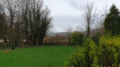 Dolgellau Bed & Breakfast | Trem Hyfryd B&B