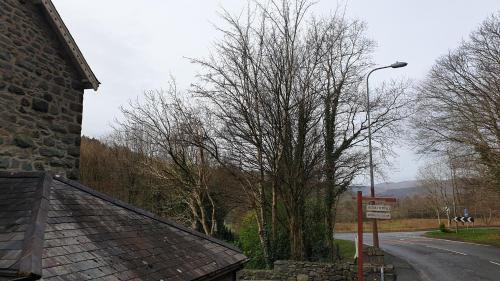 Dolgellau Bed & Breakfast | Trem Hyfryd B&B