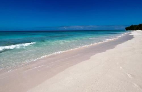 North Palmetto Point Apartment | Trident Estate estate