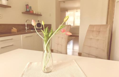 Ostrava Apartment | Trio Apartments
