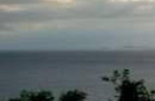 Lobo House | Triple N Homestay Beachfront House in Lobo
