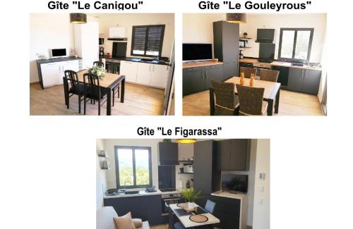 Vingrau Apartment | Trois appartements au sein du Mas Jams - Le Gouleyrous, Le Canigou et Le Figarassa