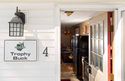Laurelville Cabin | Trophy Buck sleeps 6, or rent all 4 for 20. Horseback riding across the Rd!