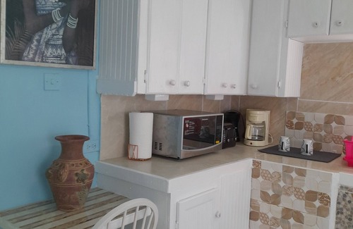 Maynards Apartment | Tropical Blossom Apt. with washer, T.V, a/c,wi-fi