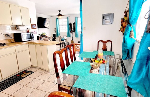 Hoyo Mulas Apartment | Tropical Breezy Suite - 10 mins near SJU airport and beaches