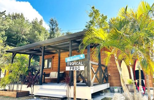 Nakama House | Tropical Frog