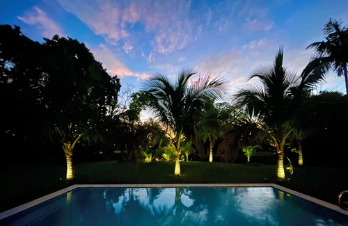 Palmetto Bay House | Tropical Miami Waterfront