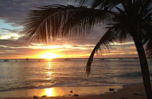 Sunset Crest Apartment | Tropical Sunset Beach Apartment Hotel