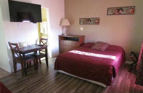 Central Colorado Springs Hotel | True North Motel