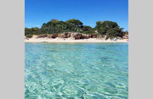 Ceglie Messapica Villa | TRULLI nel cuore della Valle d’Itria con PISCINA privata