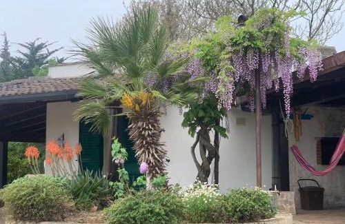 Ceglie Messapica House | Trullo la glycine