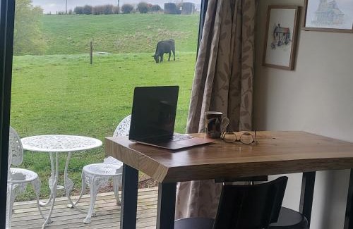 Rotowaro Bed & Breakfast | Tui Cottage