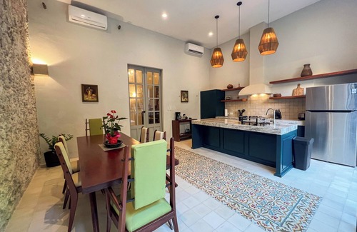 Centro House | Tulip House