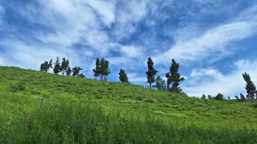Selenge Other | Tunkhelguesthouse