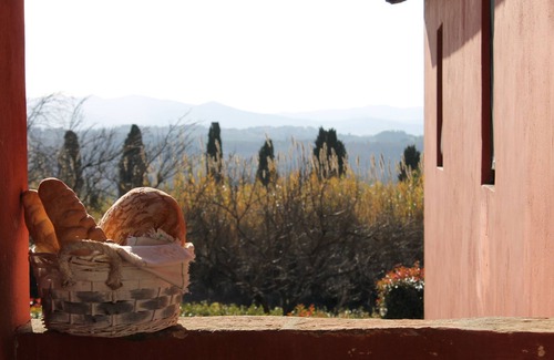 Ghizzano Apartment | TUSCAN HILLS - Tenuta di Ghizzano - Apartment Camino 4/6 pax