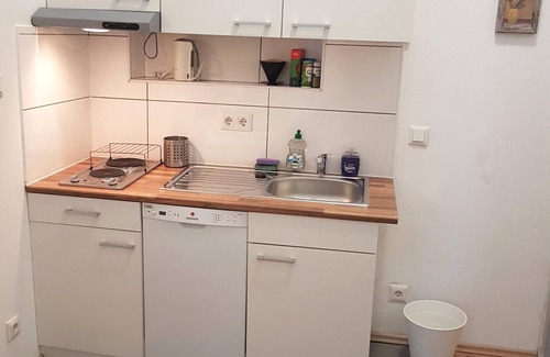 Roßau Apartment | Two bedroom Apartment Pramergasse A31