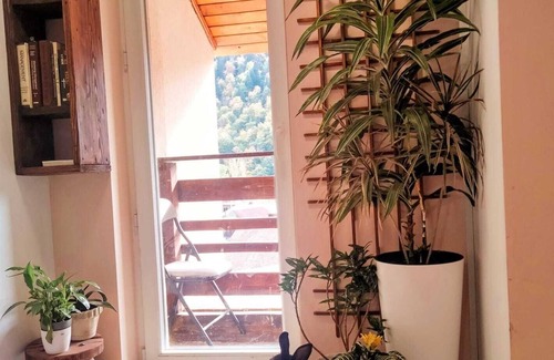 Azuga House | Two Rabbits mountain guesthouse