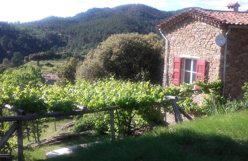 Mialet House | Typical Cevennes house for people with mountain view