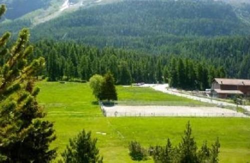 Champfer Apartment | Typical Engadine house in a comfortable condominium with swimming pool