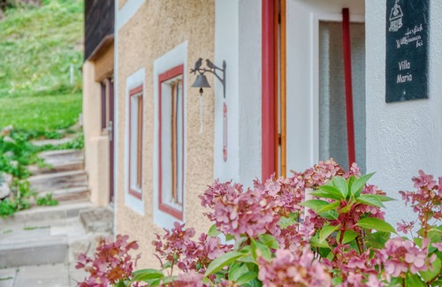Anras House | Typisches Tiroler Haus mit Großem Garten, Sauna, Bergblick nah an den Skipisten