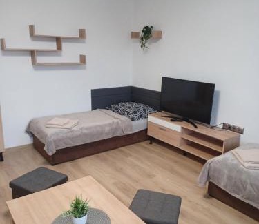 Vlkanova Apartment | U Poličky