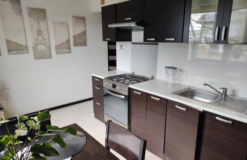 Busko-Zdroj Apartment | U Zajączka