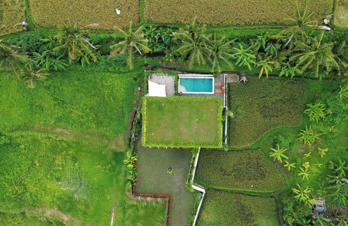 Kemenuh Villa | Ubud Luxury 4-Bedroom with Butler, Rice Field View & Pool