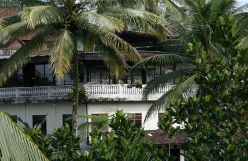 Sebatu House | Ubud Rice Terrace - Jungle/rainforest view