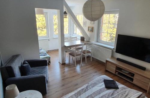 Pec pod Snezkou Apartment | Ubytování Javor
