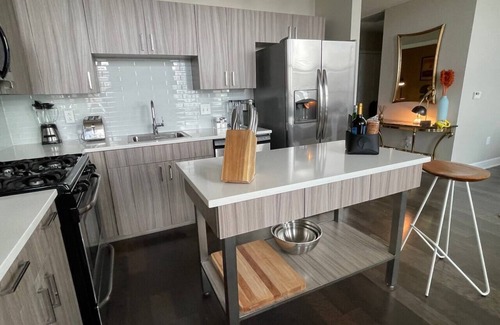 Central Business District Apartment | Ultra LUXE 2-BD Suite Unit in Downtown Rochester