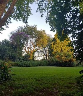 Hilton Bed & Breakfast | Umoya