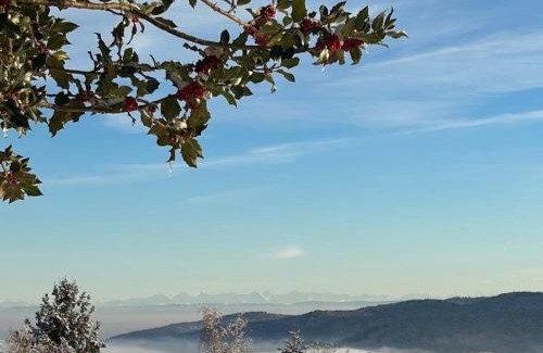 Linthal Apartment | Un coin de montagne