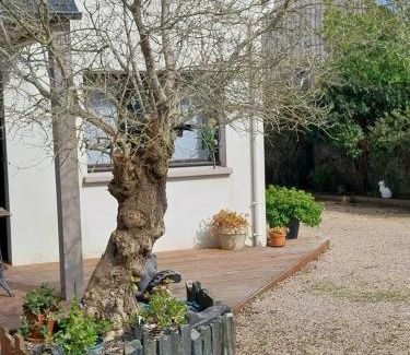 Plouescat House | Un ptit coin de paradis chez JF et Daisy à Plouescat