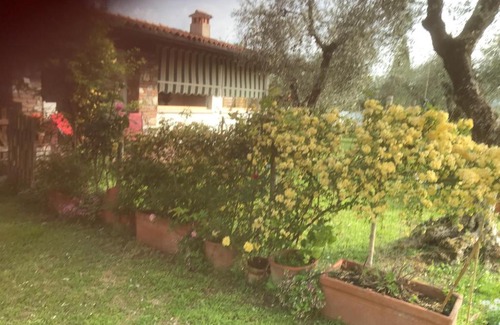 Moniga del Garda Apartment | Una casa tra gli olivi 1 Moniga del Garda