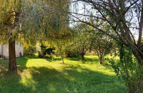 Berthenay House | Une Maison, Un Jardin