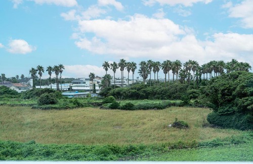 Andeok House | Unicorn Jeju