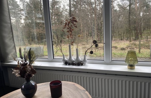 Beekbergen-West Ski Chalet | Unieke, rustige plek met veel privacy aan de bosrand op Veluwe park Lierderholt!