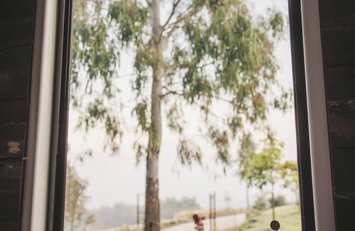 Thornton Cabin | Unique Cabin, surrounded by farmland, mountain views, sunsets and wildlife.