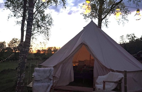 Laholm Municipality House | Unique glamping experience with alpacas in the countryside near Laholm
