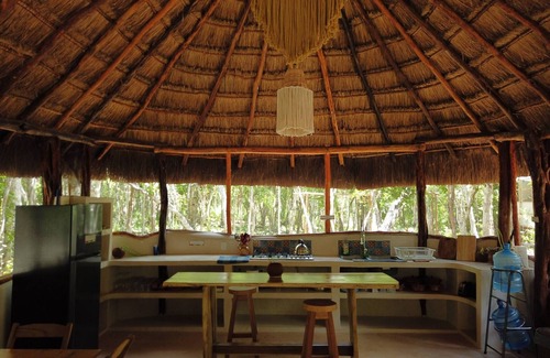 Soliman Bay Apartment | Unique Jungle Dome Ha With Kitchen