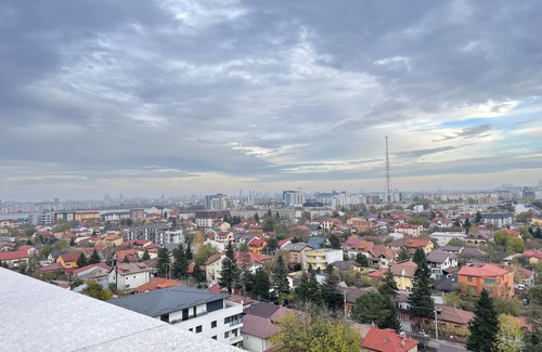 Militari Condo | Unique Penthouse Lakeview W19