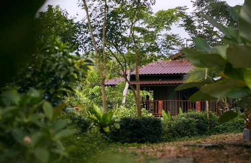 Nang Lae Cottage | Unique stilted wooden house near Black House museum