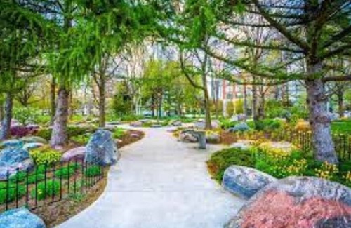 Capital View Apartment | Unit B Downstairs