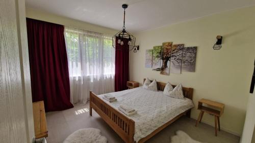 Baia Mare Apartment | University Apt
