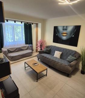 Baia Mare Apartment | University Apt