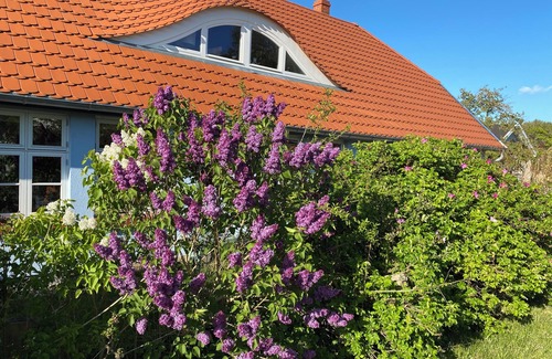 Neuendorf Heide Apartment | Unser Ostseehaus - cozy apartment in a farmhouse with garden