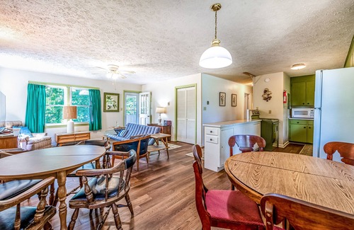 Lake Junaluska House | Upstairs, dog-friendly retreat with forest views, full kitchen, plus pool access