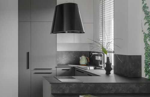 Vilnius city municipality Apartment | Urban Jungle Apartment 406